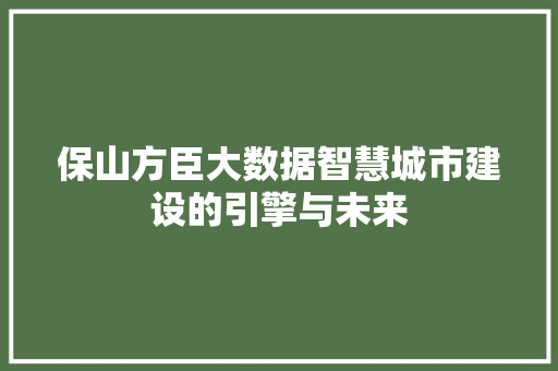 保山方臣大数据智慧城市建设的引擎与未来