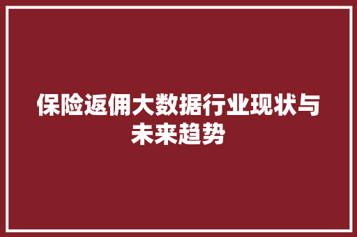 保险返佣大数据行业现状与未来趋势