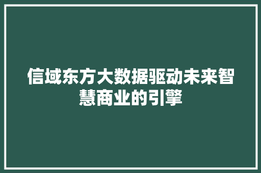 信域东方大数据驱动未来智慧商业的引擎
