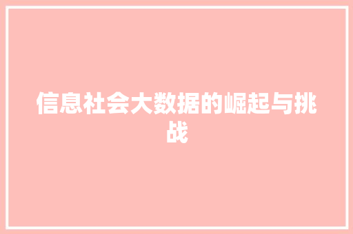 信息社会大数据的崛起与挑战