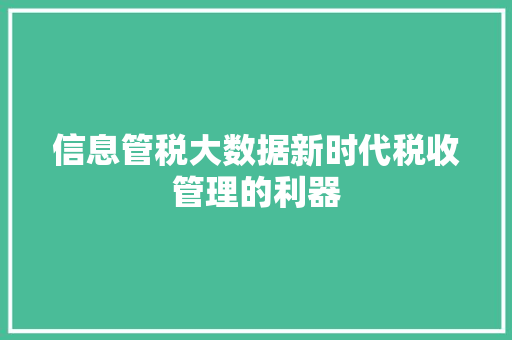 信息管税大数据新时代税收管理的利器