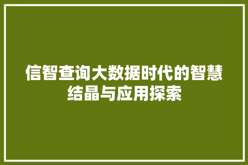 信智查询大数据时代的智慧结晶与应用探索