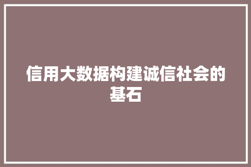 信用大数据构建诚信社会的基石
