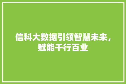 信科大数据引领智慧未来，赋能千行百业