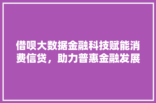 借呗大数据金融科技赋能消费信贷，助力普惠金融发展