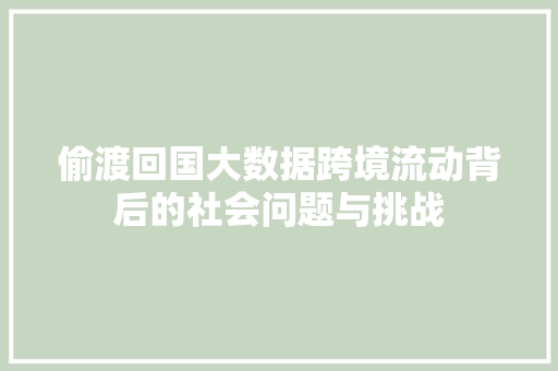 偷渡回国大数据跨境流动背后的社会问题与挑战