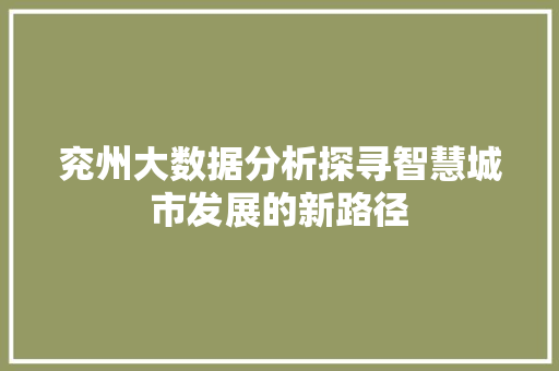 兖州大数据分析探寻智慧城市发展的新路径