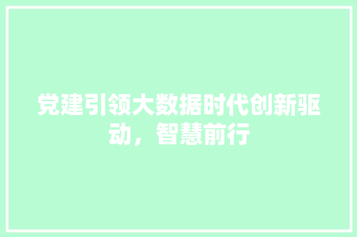 党建引领大数据时代创新驱动，智慧前行