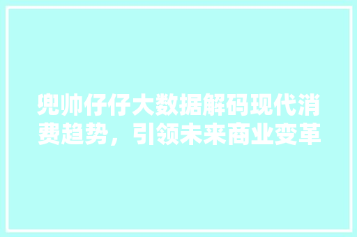 兜帅仔仔大数据解码现代消费趋势，引领未来商业变革
