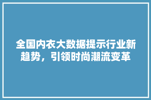 全国内衣大数据提示行业新趋势，引领时尚潮流变革