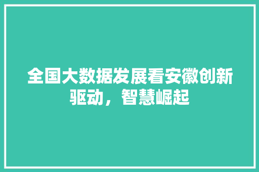 全国大数据发展看安徽创新驱动，智慧崛起