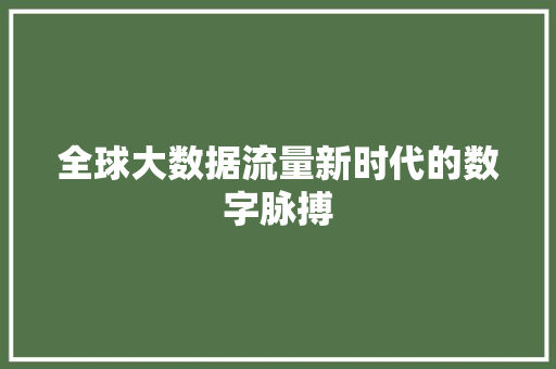 全球大数据流量新时代的数字脉搏