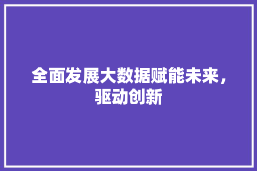 全面发展大数据赋能未来，驱动创新