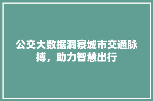 公交大数据洞察城市交通脉搏，助力智慧出行