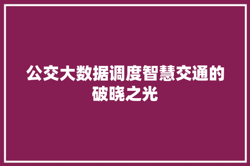公交大数据调度智慧交通的破晓之光