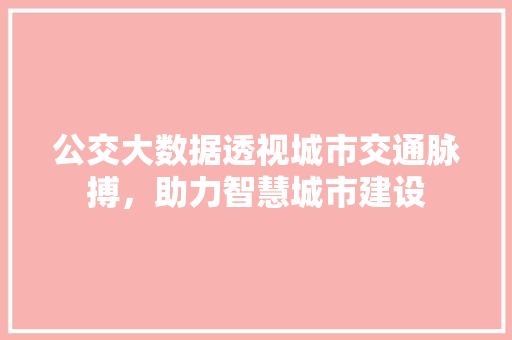 公交大数据透视城市交通脉搏，助力智慧城市建设