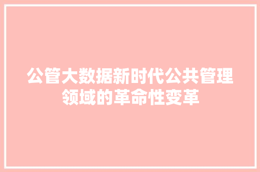 公管大数据新时代公共管理领域的革命性变革