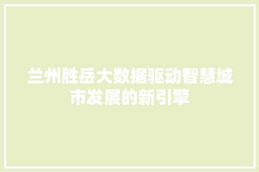 兰州胜岳大数据驱动智慧城市发展的新引擎