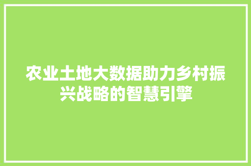 农业土地大数据助力乡村振兴战略的智慧引擎 农业土地大数据助力乡村振兴战略的智慧引擎