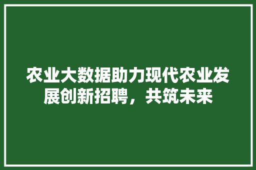 农业大数据助力现代农业发展创新招聘，共筑未来