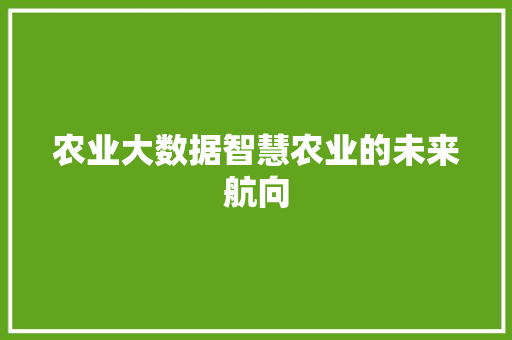 农业大数据智慧农业的未来航向