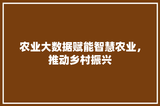 农业大数据赋能智慧农业，推动乡村振兴