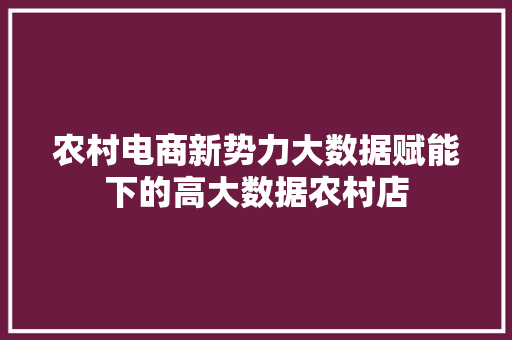 农村电商新势力大数据赋能下的高大数据农村店