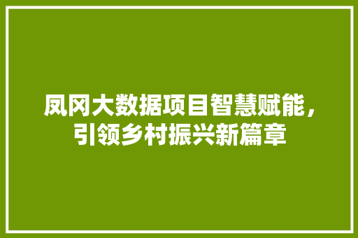 凤冈大数据项目智慧赋能，引领乡村振兴新篇章