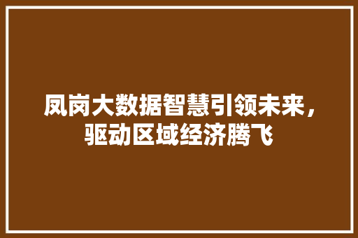 凤岗大数据智慧引领未来，驱动区域经济腾飞