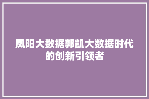 凤阳大数据郭凯大数据时代的创新引领者