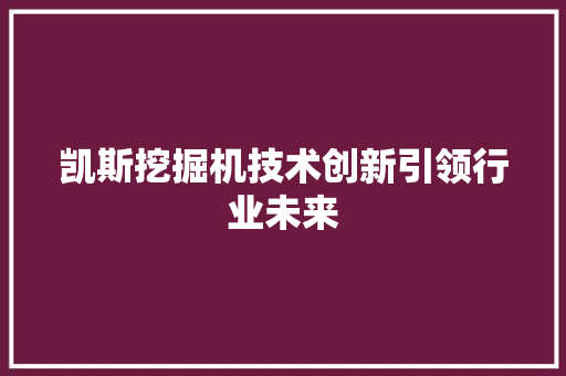 凯斯挖掘机技术创新引领行业未来