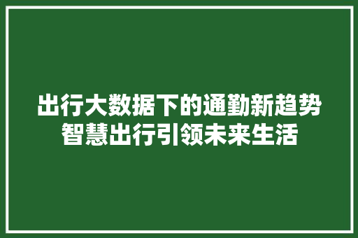 出行大数据下的通勤新趋势智慧出行引领未来生活