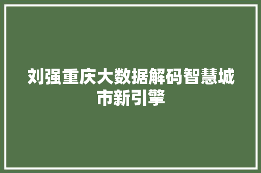 刘强重庆大数据解码智慧城市新引擎