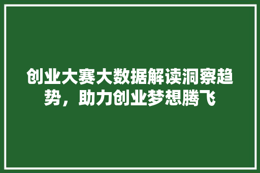 创业大赛大数据解读洞察趋势，助力创业梦想腾飞