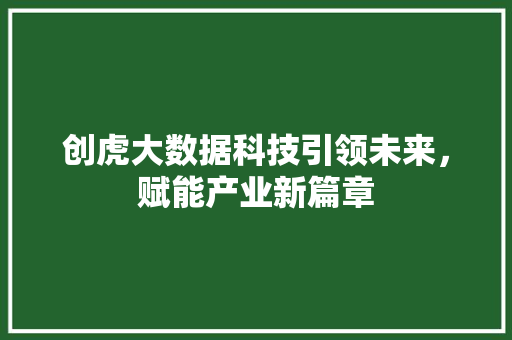 创虎大数据科技引领未来，赋能产业新篇章