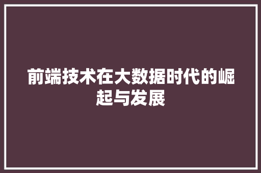 前端技术在大数据时代的崛起与发展