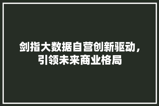 剑指大数据自营创新驱动，引领未来商业格局