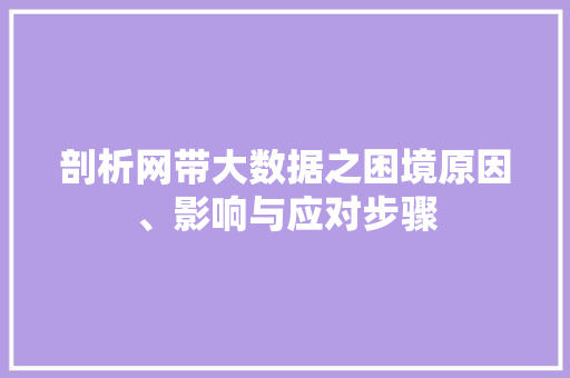 剖析网带大数据之困境原因、影响与应对步骤