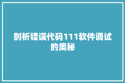剖析错误代码111软件调试的奥秘