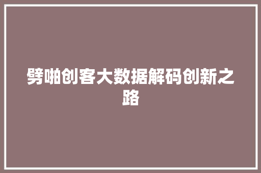 劈啪创客大数据解码创新之路 劈啪创客大数据解码创新之路