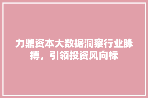 力鼎资本大数据洞察行业脉搏,引领投资风向标 力鼎资本大数据洞察行业脉搏,引领投资风向标