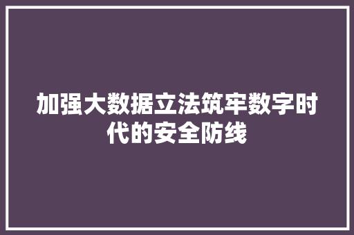 加强大数据立法筑牢数字时代的安全防线 加强大数据立法筑牢数字时代的安全防线