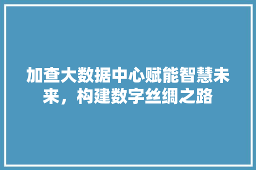 加查大数据中心赋能智慧未来，构建数字丝绸之路