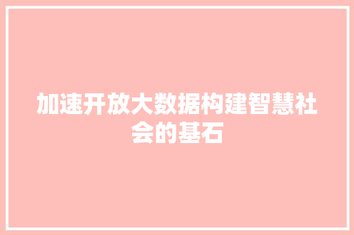 加速开放大数据构建智慧社会的基石