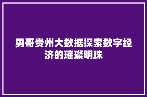 勇哥贵州大数据探索数字经济的璀璨明珠