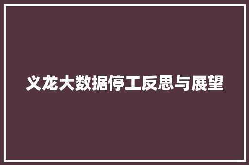 义龙大数据停工反思与展望