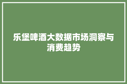乐堡啤酒大数据市场洞察与消费趋势