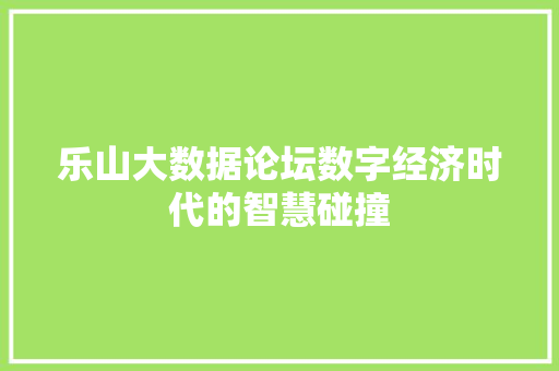 乐山大数据论坛数字经济时代的智慧碰撞 乐山大数据论坛数字经济时代的智慧碰撞
