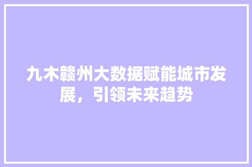 九木赣州大数据赋能城市发展,引领未来趋势 九木赣州大数据赋能城市发展,引领未来趋势