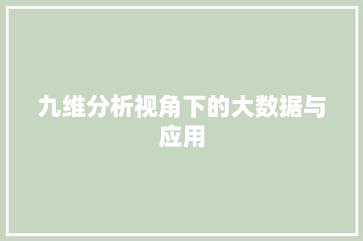 九维分析视角下的大数据与应用
